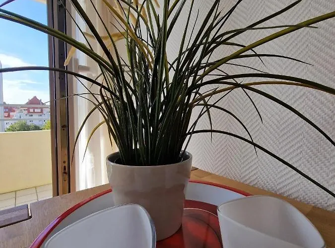 Vier Jahreszeiten 2-42